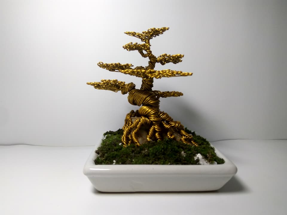 Nam sinh "hốt bạc" nhờ bán cây bonsai bằng đồng trong dịp Tết - Hình 4