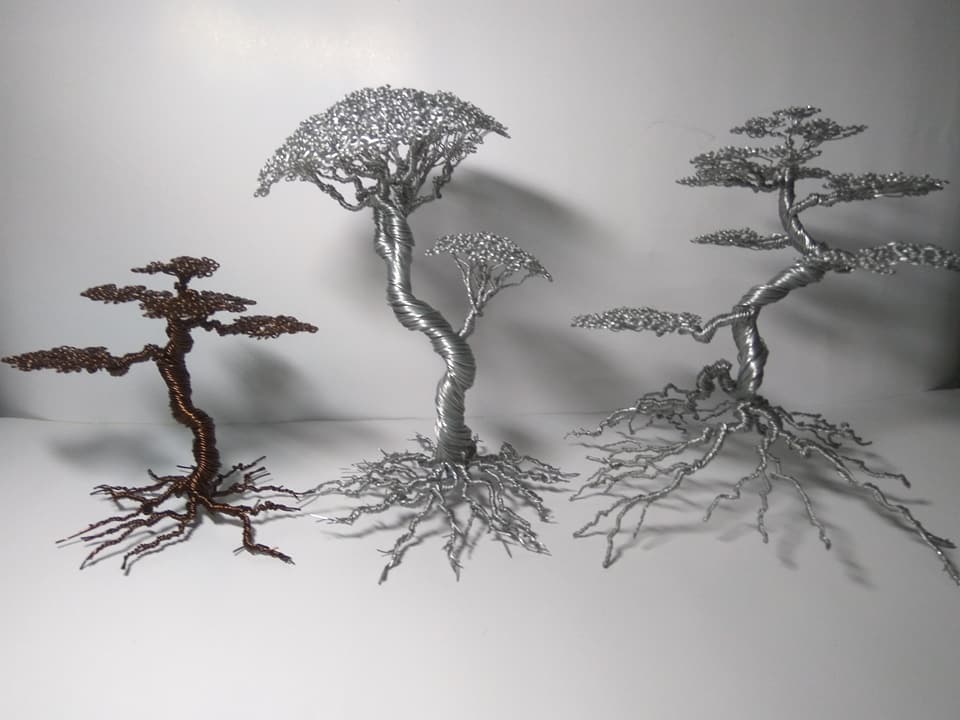 Nam sinh "hốt bạc" nhờ bán cây bonsai bằng đồng trong dịp Tết - Hình 5