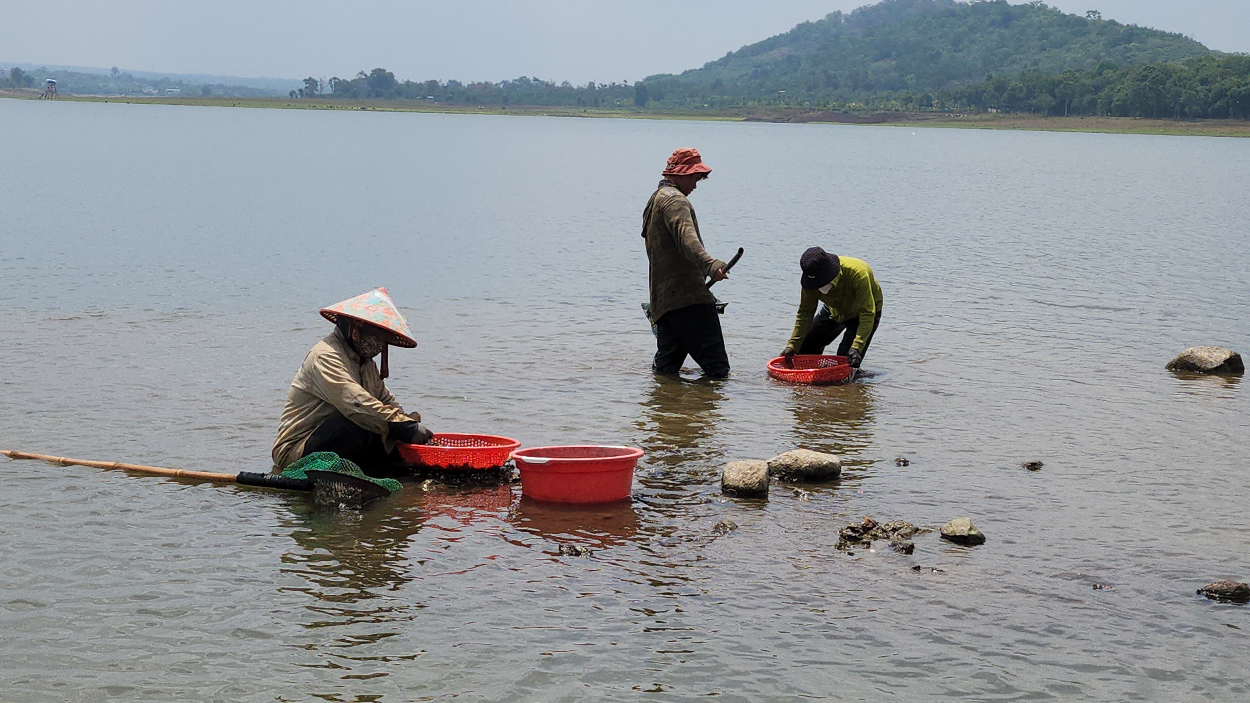 Dân sinh - Mưu sinh trên hồ đẹp nhất Buôn Ma Thuột và niềm vui của nhiều cần thủ (Hình 5).