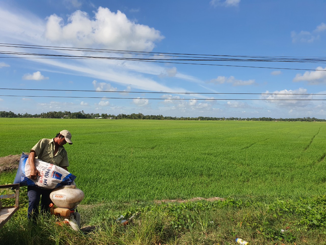 Kinh tế - Đã đến lúc không thể không sửa đổi Luật 71 (Hình 2).