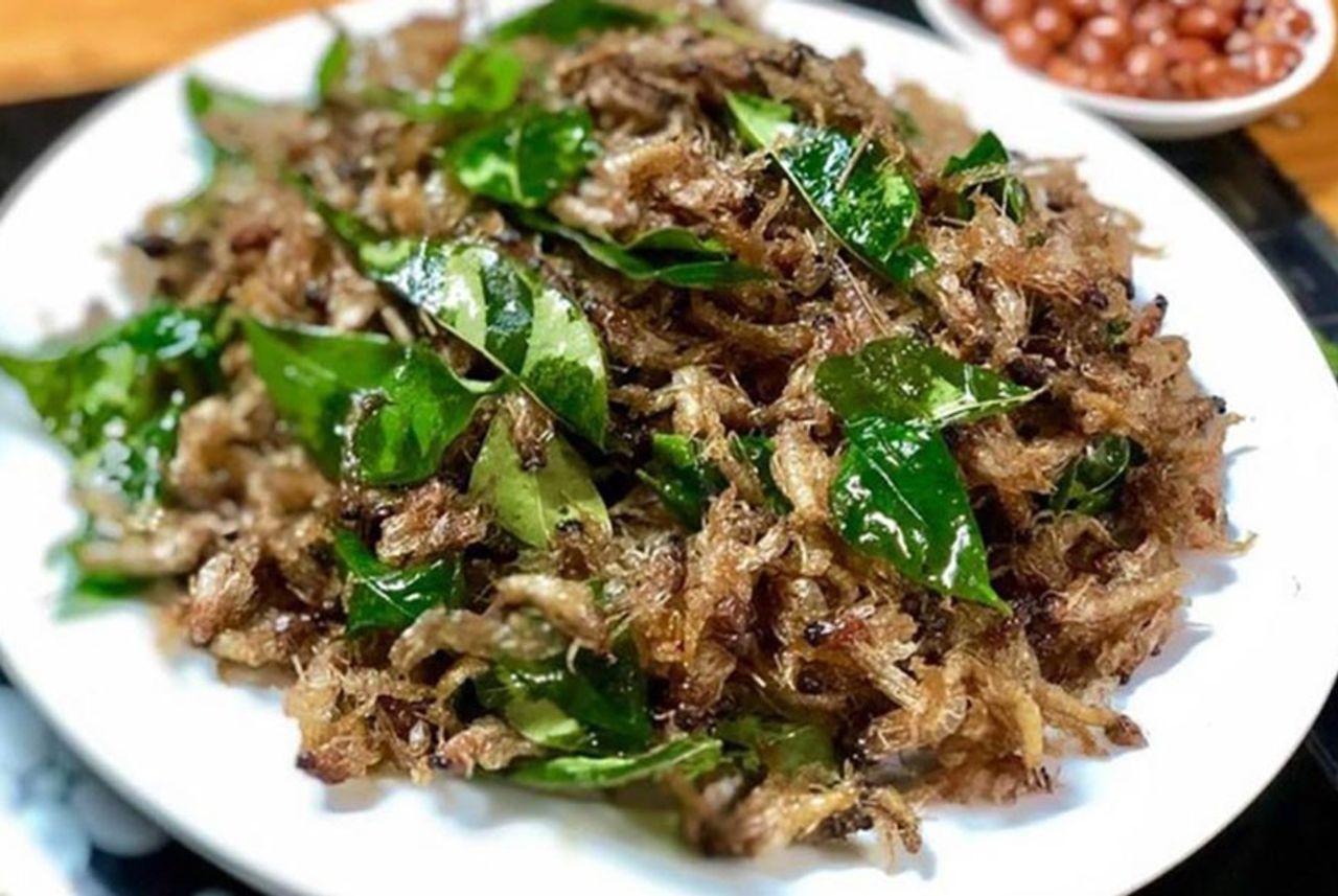 Thứ đặc sản ở s&ocirc;ng Hồng c&oacute; t&ecirc;n cực dị, gi&aacute; hơn nửa triệu đồng/kg