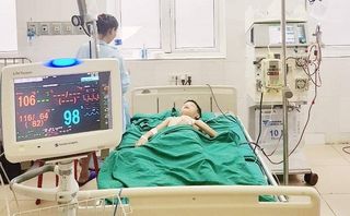 Cấp cứu bé trai 11 tuổi bị ong vò vẽ đốt hơn 100 vết Cấp cứu bé trai 11 tuổi bị ong vò vẽ đốt hơn 100 vết