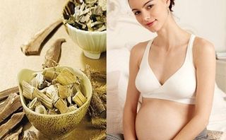 Bác sĩ sản khoa cảnh báo những vị thuốc bắc cấm phụ nữ mang thai sử dụng Bác sĩ sản khoa cảnh báo những vị thuốc bắc cấm phụ nữ mang thai sử dụng