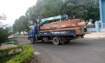 Một chiến sĩ công an qua đời khi trông coi tang vật gỗ lậu của trùm Phượng