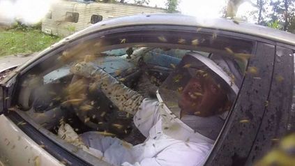 getting into a car with a wasp nest