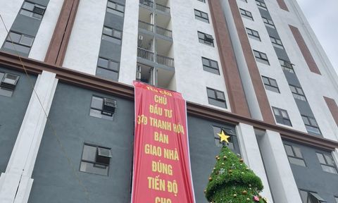 Dự án nhà ở xã hội 379 bị phạt 80 triệu đồng