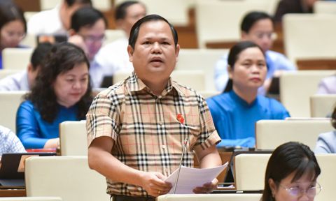 Bỏ cọc đấu giá tài sản: Đề nghị xử lý hình sự, nâng mức cọc lên 30%