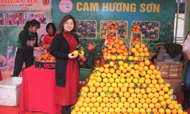 Cầu nối đưa nông sản Hà Tĩnh vươn xa: Lễ hội Cam - kết nối thương hiệu nông sản (Bài 1)