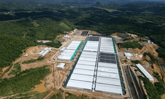 Đề nghị dừng hoạt động trang trại lợn gây ô nhiễm ở Thanh Hóa