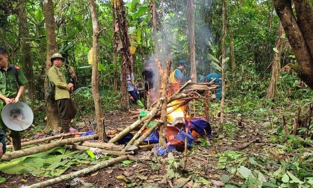 Làm rõ hành vi khai thác vàng trái phép trong rừng ở Thanh Hóa 