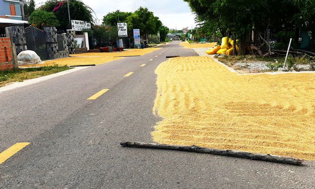 Trượt ngã vì lúa phơi bên đường, nữ sinh lớp 10 bị xe tông tử vong 