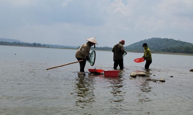 Mưu sinh trên hồ đẹp nhất Buôn Ma Thuột và niềm vui của nhiều cần thủ