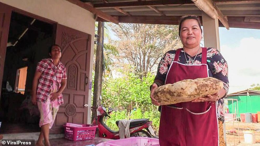 Lượm được “khối đá” hôi “mùi cá chết”, người phụ nữ bất ngờ khi biết sự thật