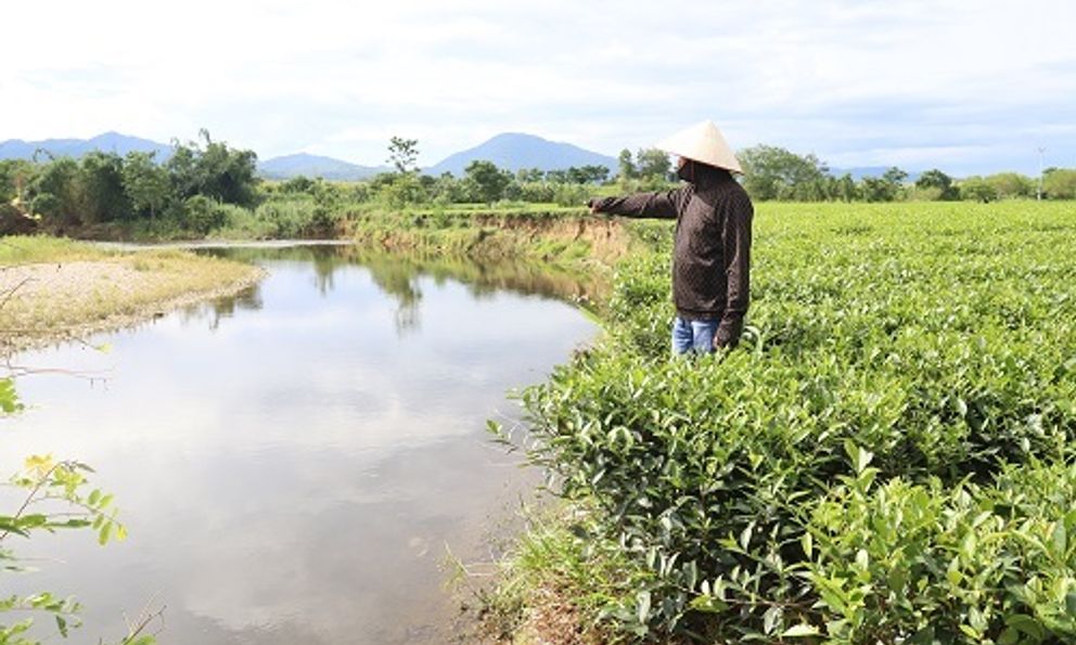  Hà Tĩnh: Người dân 'cầu cứu' vì gần 10 hecta đất sản xuất chè bị sạt lở xuống sông