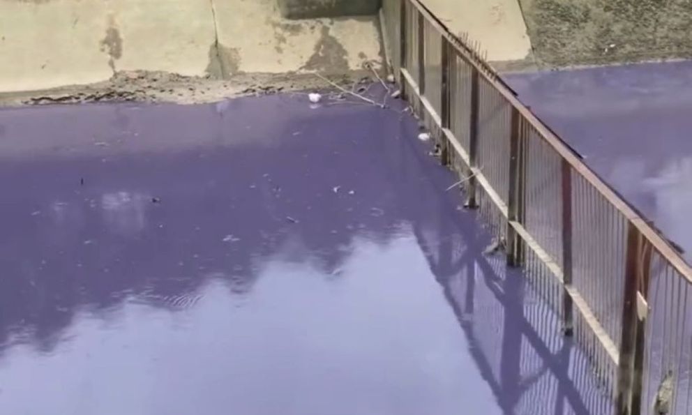 Làm rõ nguyên nhân kênh nước chuyển màu tím bất thường