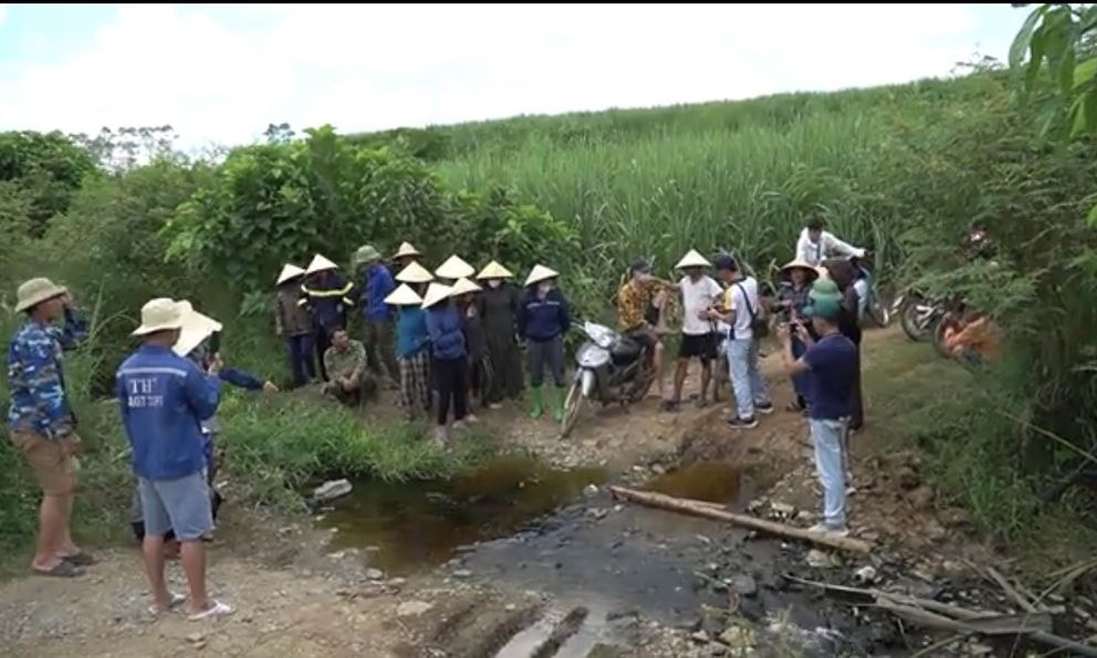 Cá chết hàng loạt ở khe Sào là do trại lợn gây ô nhiễm