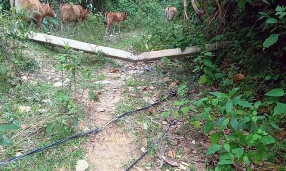 Tiềm ẩn nguy cơ mất an toàn từ cột điện gãy đổ