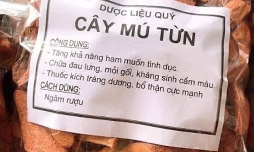 Uống nước từ cây mú từn, người đàn ông lên cơn loạn thần