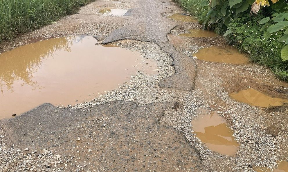 Dân ngán ngẩm vì tuyến đê nát tươm không được tu sửa ở Thanh Hóa