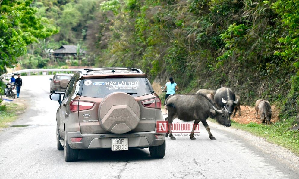 Những lỗi tài xế vô tư vi phạm ngày Tết