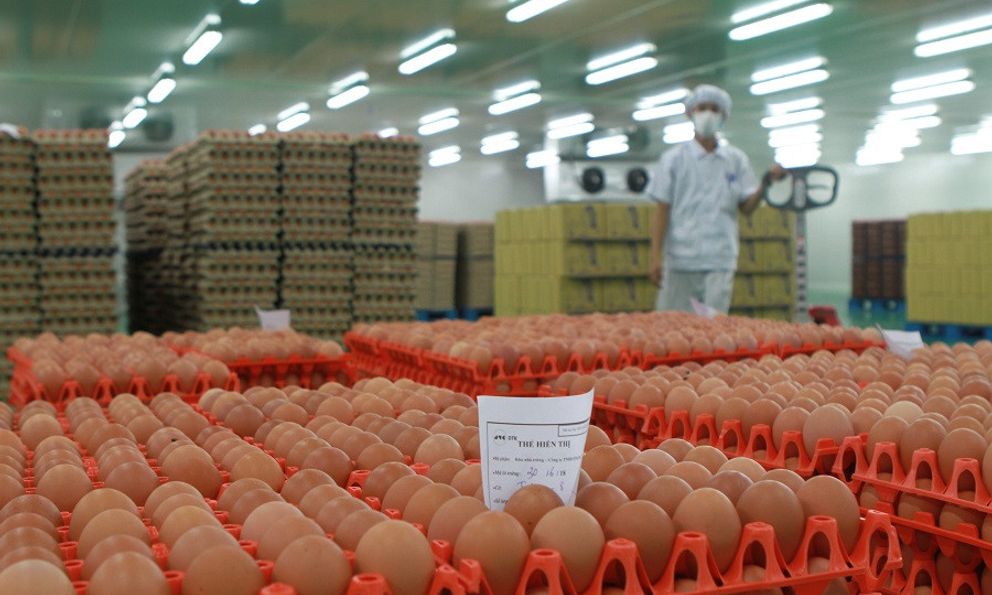 Sắp đấu giá khoản nợ 800 tỷ đồng của ĐTK, giá khởi điểm từ 188,942 tỷ đồng